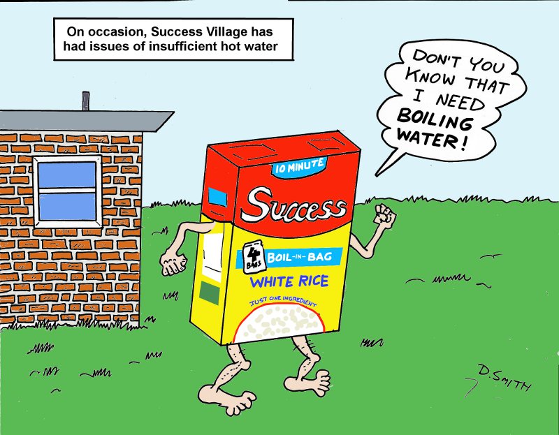 Success Village